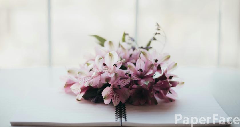 paperface,paperface官网,paperface免费降重系统,paperface论文查重系统