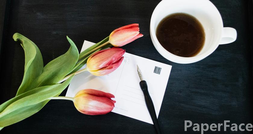 paperface,paperface官网,paperface免费降重系统,paperface论文查重系统