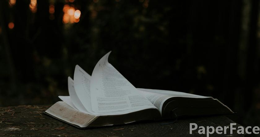 paperface,paperface官网,paperface免费降重系统,paperface论文查重系统